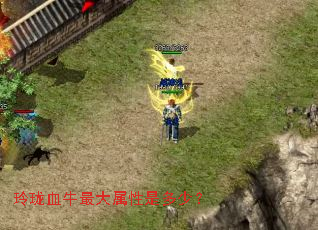 ����Ѫţ��������Ƕ��٣�