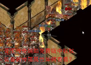 �����渨����Ѱ���Ȩ��װ���ĵ���������β鿴��