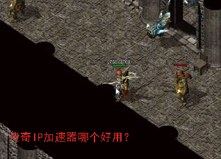 ����IP�������ĸ����ã�