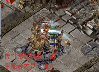 ������Ϸ�������Ŷ���ϲ���������