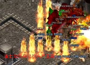 ��ʿ��θ�Ч��ռʬ���