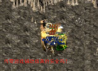 ������Ϸ��������İ�ȫ��