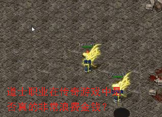 ��ʿְҵ�ڴ�����Ϸ���Ƿ���ķǳ��˷ѽ�Ǯ��