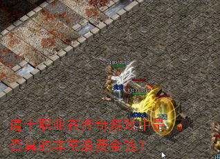 ��ʿְҵ�ڴ�����Ϸ���Ƿ���ķǳ��˷ѽ�Ǯ��