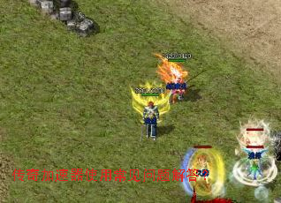 ���������ʹ�ó���������