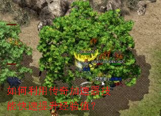 ������ô�����������ܿ�����������ֵ��