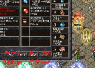 Ϊʲô�����˴��渨�����޷���װ��