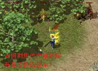 ������ô��渨������Ԫ������Ч�ʣ�