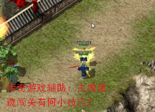 ������Ϸ�������ų��ż������к�С���ɣ�