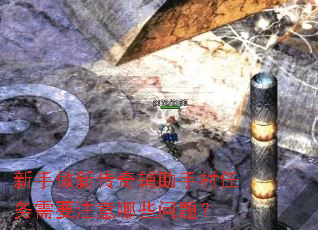 �������´��渨���ִ�������Ҫע����Щ���⣿