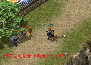 �����Զ�����������İ�ȫ��