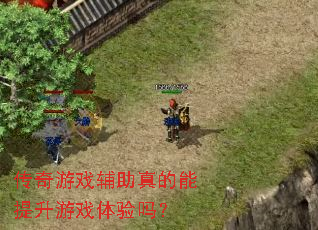 ������Ϸ���������������Ϸ������