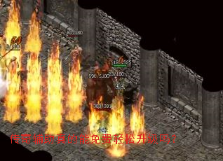 ���渨��������������������