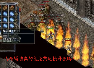 ���渨��������������������