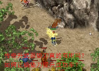 �����������浶��������������ȷ�浶�����ɹ��ʣ�