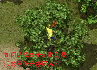 ���ѡ���渨����Ѱ�������������