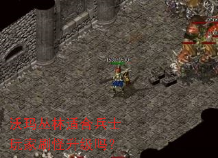 ��������ʺϱ�ʿ���ˢ��������