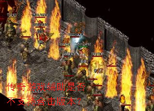 ������Ϸ�����Ƿ�֧�ֺϻ��汾��