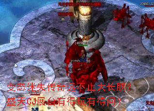 ��̬��ʧ����Զ��ֹ���ȣ�ʢ��CJչ̨�е����е��ʣ�