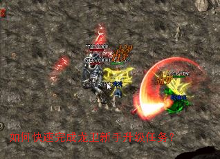 ��ο����������������������