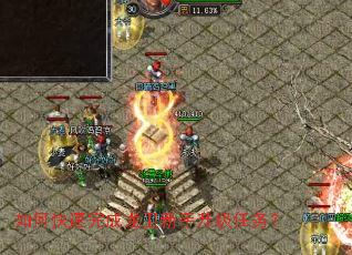 ��ο����������������������