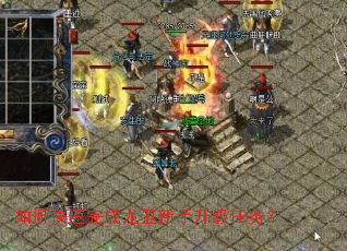 ��ο����������������������