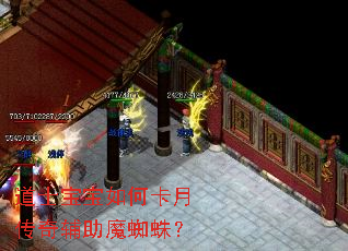 ��ʿ������ο��´��渨��ħ֩�룿