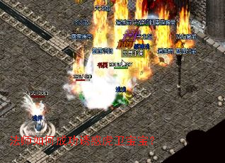 ��ʦ��γɹ��ջ���������