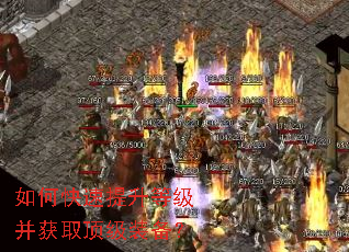 ��ο��������ȼ�����ȡ����װ����