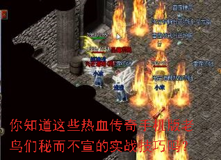 ��֪����Щ��Ѫ�����ֻ����������ض�������ʵս������