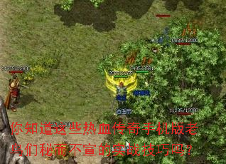 ��֪����Щ��Ѫ�����ֻ����������ض�������ʵս������