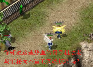 ��֪����Щ��Ѫ�����ֻ����������ض�������ʵս������