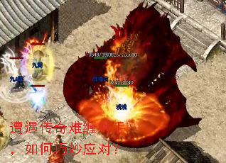 ���������Ѳ����֣��������Ӧ�ԣ�