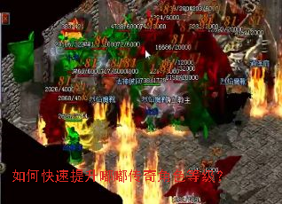 ��ο��������ུ����ɫ�ȼ���