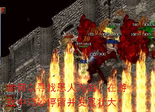 �����Ѱ�Ҷ���Ϊ�ɣ�����Ϸ������ͣ������չ׳��