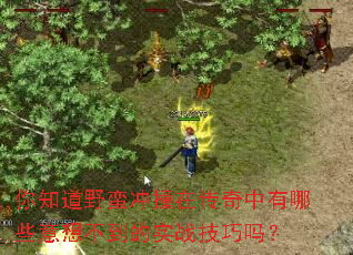 ��֪��Ұ����ײ�ڴ���������Щ���벻����ʵս������