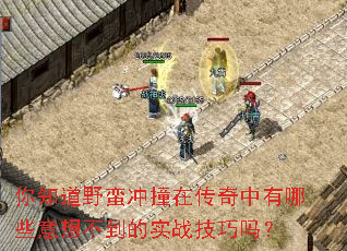 ��֪��Ұ����ײ�ڴ���������Щ���벻����ʵս������