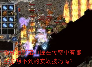 ��֪��Ұ����ײ�ڴ���������Щ���벻����ʵս������