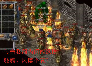 ����˽��Ϊ�����ݺ�۳ң����Ҳ�˥��