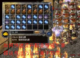 ��ο�������ְҵ�ȼ���������Щ���������°빦����