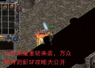 ����˽���ذ���Ϯ�������ڴ�����SF���Դ󹫿�