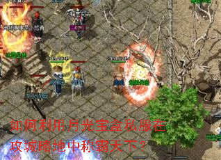 ��������¹ⱦ��˽���ڹ����Ե��гư����£�