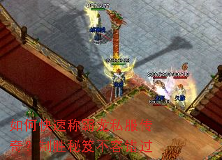 ��ο��ٳư���˽�����棿��ʤ���Ų��ݴ���