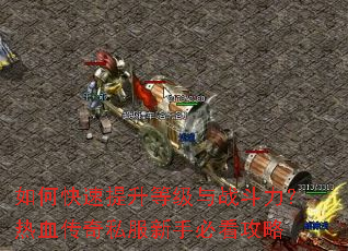 ��ο��������ȼ���ս��������Ѫ����˽�����ֱؿ�����