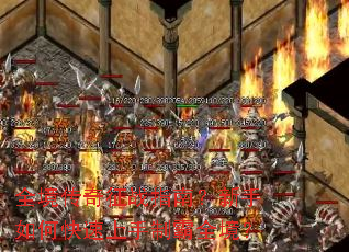 ȫ��������սָ�ϣ�������ο��������ư�ȫ����