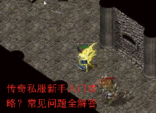 ����˽���������Ź��ԣ���������ȫ���