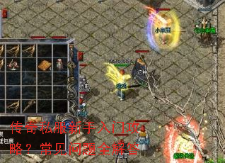 ����˽���������Ź��ԣ���������ȫ���