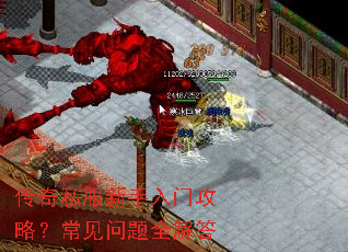 ����˽���������Ź��ԣ���������ȫ���