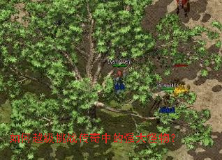 ���Խ����ս�����е�ǿ����