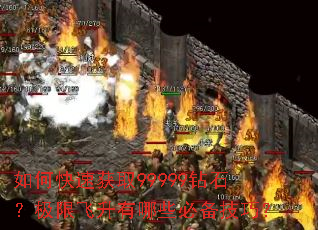 ��ο��ٻ�ȡ99999��ʯ�����޷�������Щ�ر����ɣ�